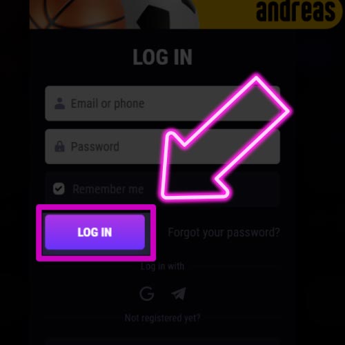 After entering your details, click the "Log in" button